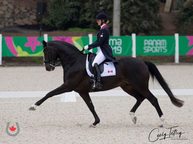 Canadian Dressage Team Takes Gold at Lima 2019 Pan Am Games and Punches Ticket to Tokyo